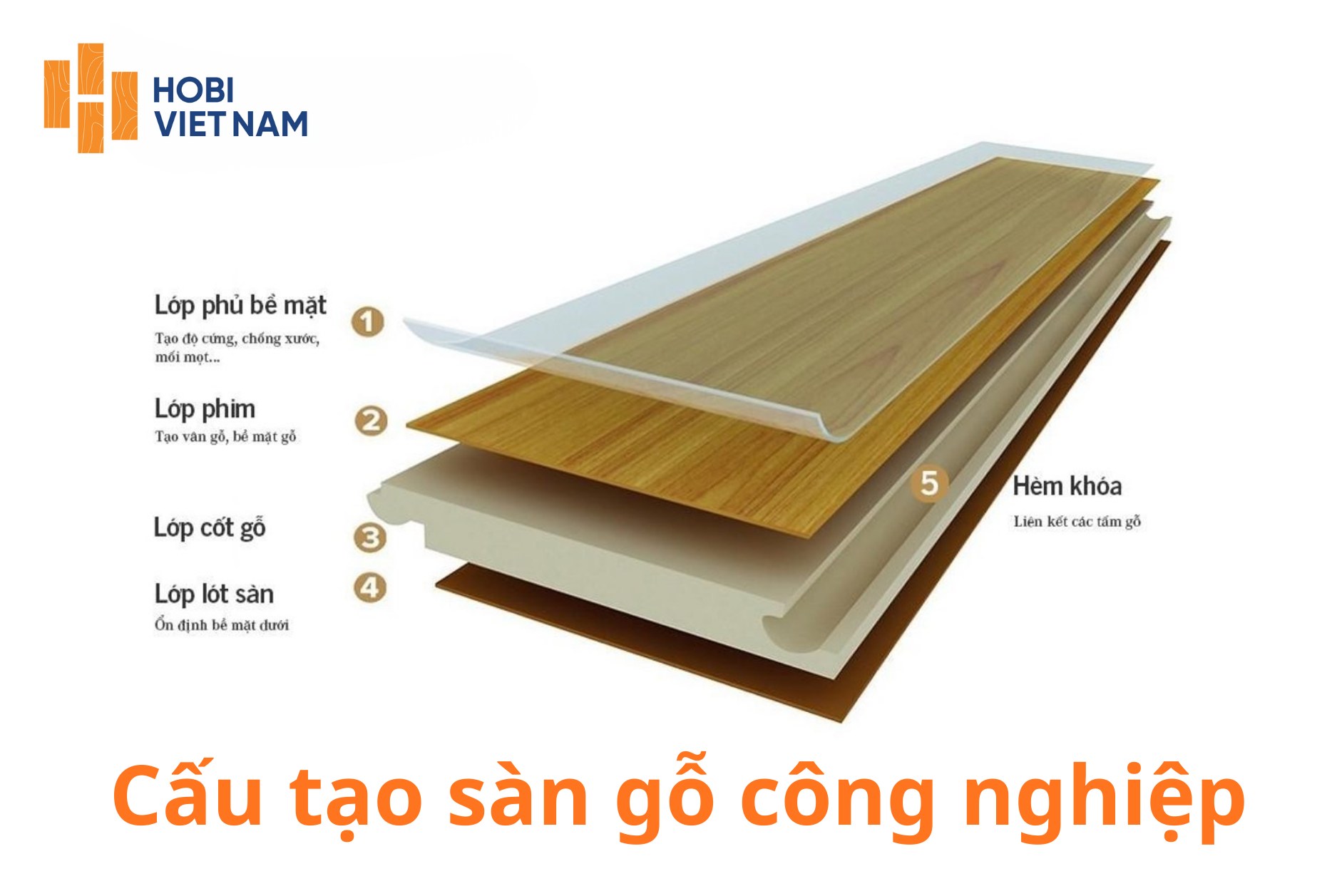 Cấu tạo sàn gỗ công nghiệp